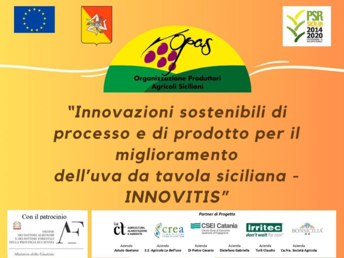 Speciale Stasera Con Mazzarrone Concluso Il Progetto Innovitis